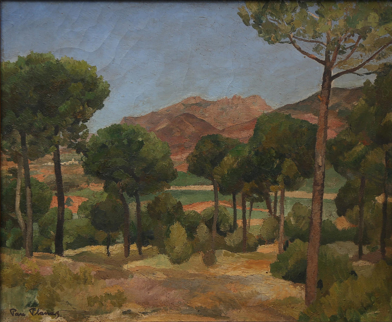 PAU PLANAS. "Montserrat entre pins".