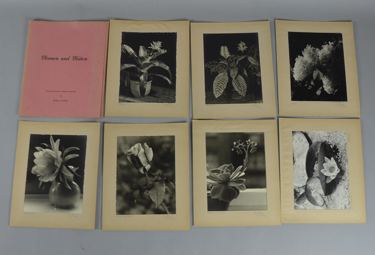 ARTHUR COLLATZ. (1903-1993) ”BLOMMOR OCH BLOMMOR”.