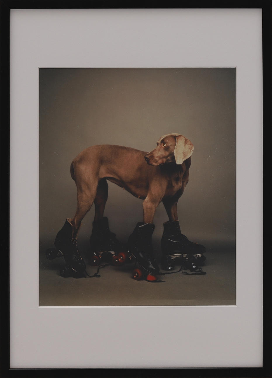 WILLIAM WEGMAN. “Roller Rover”, photograph, numbered 275/500, dated 1987.