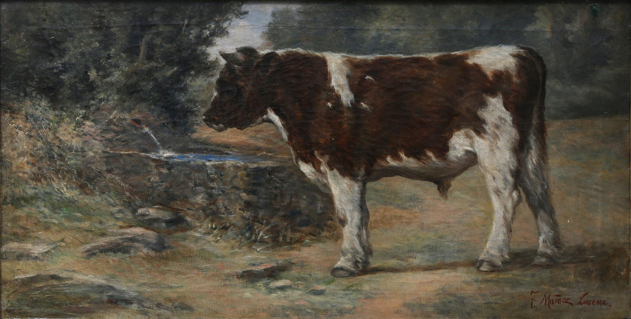 TOMÁS MUÑOZ LUCENA. Veal.