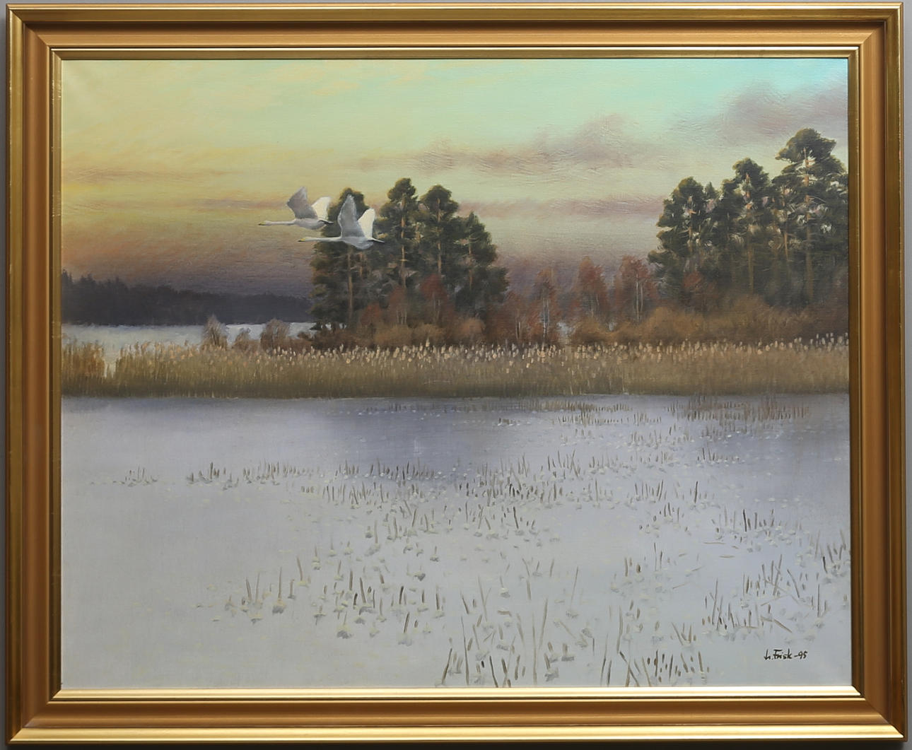 LENNART FRISK. Flygande svanar över vatten. Olja på duk. Signerad och daterad -95.