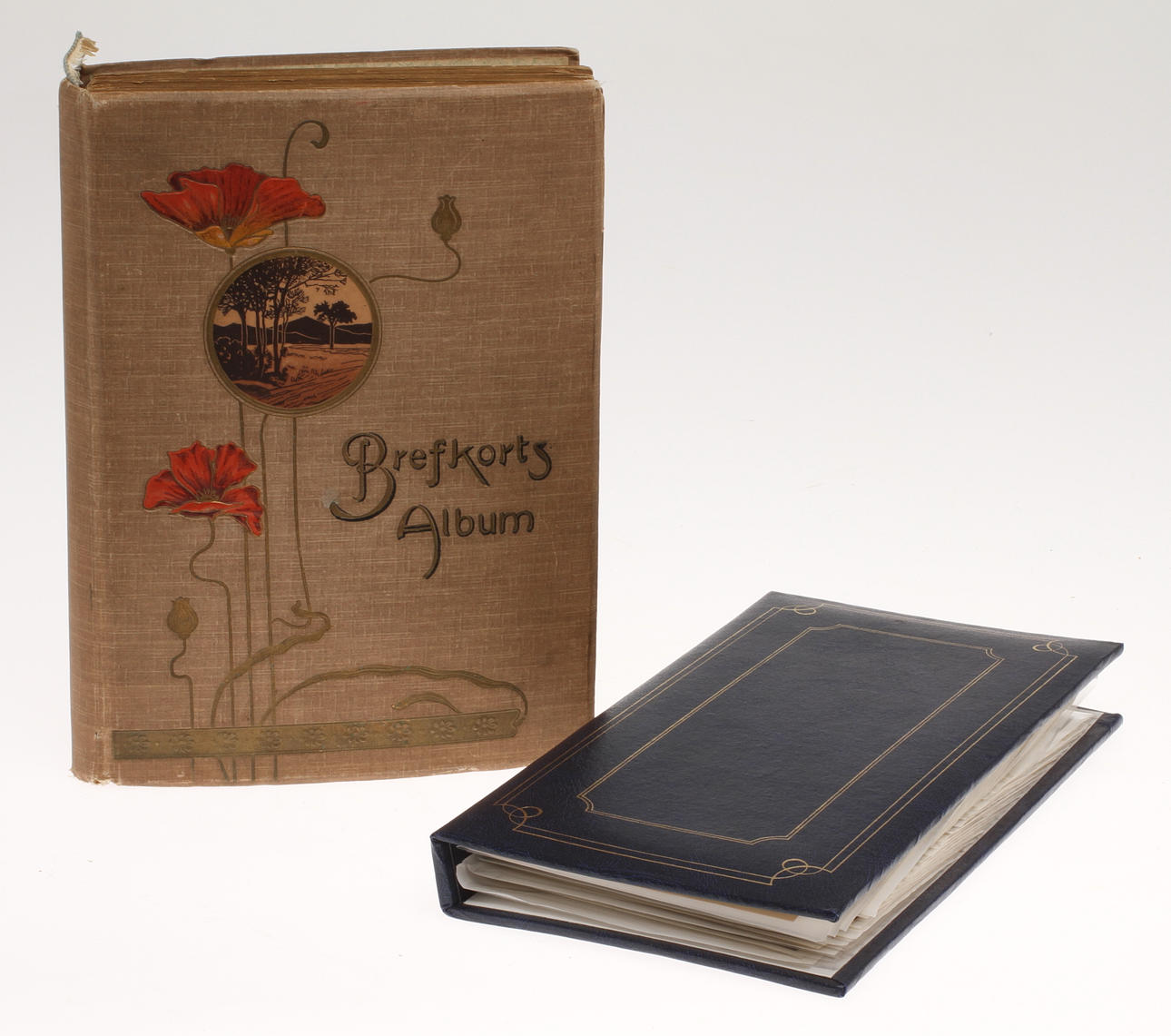 VYKORT, totalt ca 300 st, varav ca 200 i brefkortsalbum.