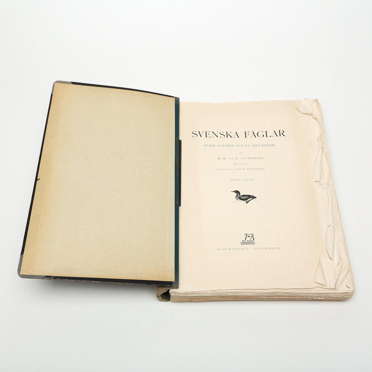 PLANSCHVERK, Ruotsin linnut, von Wright, 1924.