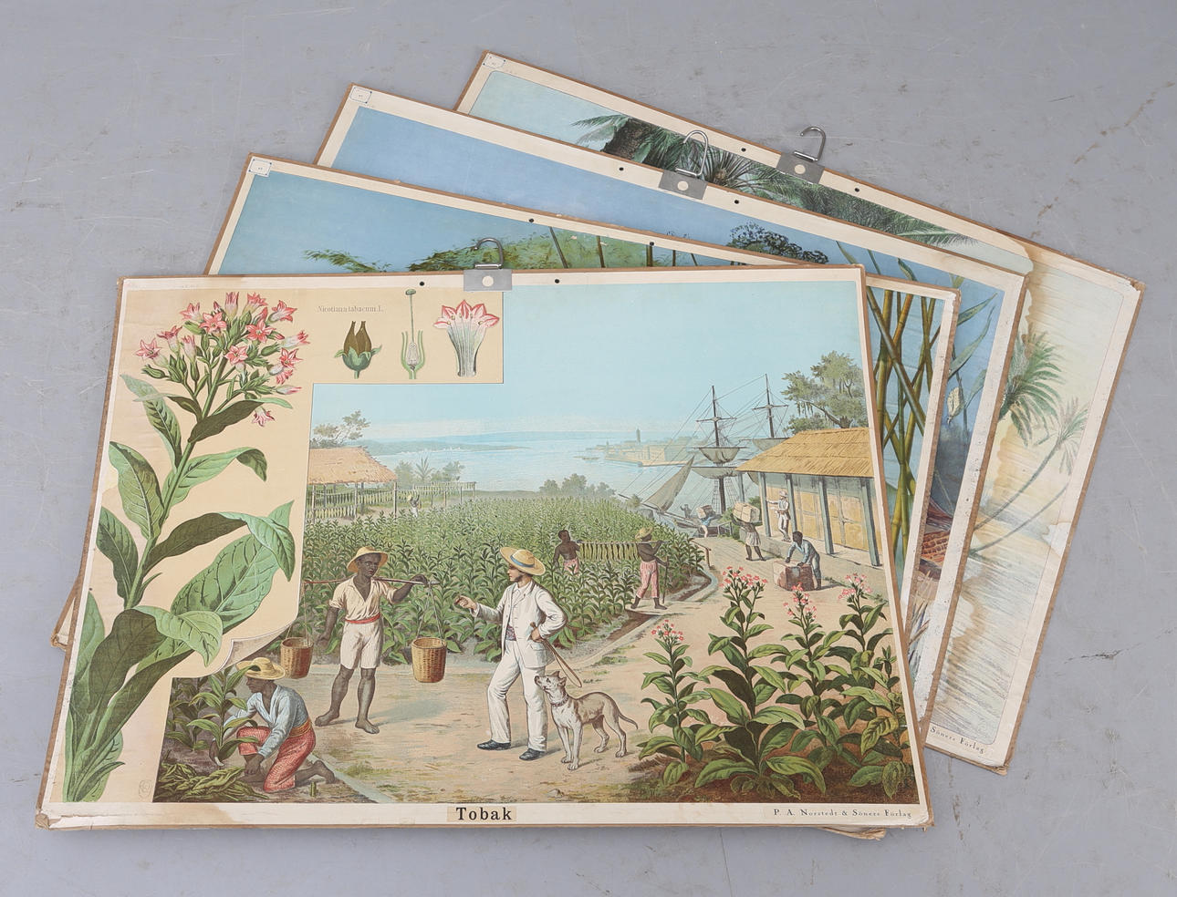 SKOLPLANSCHER, 4 st, 1900-talets början.