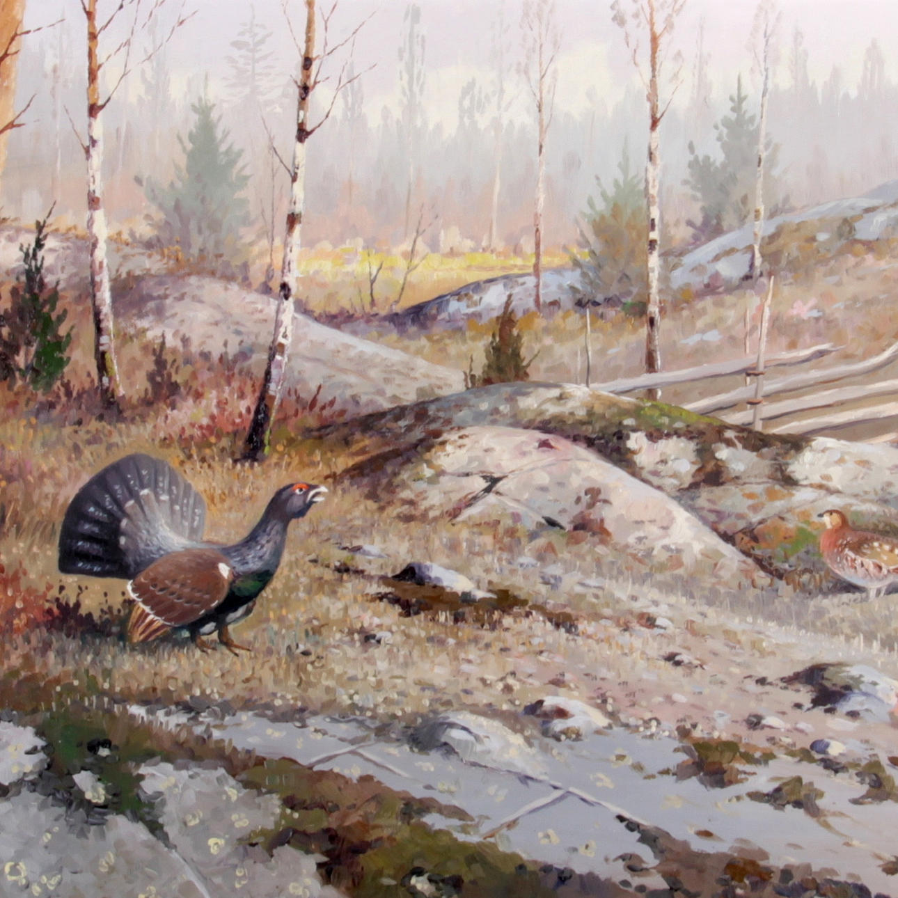 EJNAR KOHLMANN. Olja på duk, fåglar, signerad.