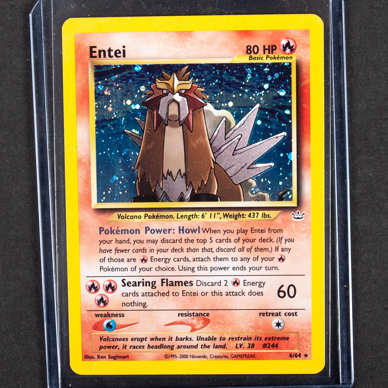 POKÉMON-KARTEN - Entei Holo.