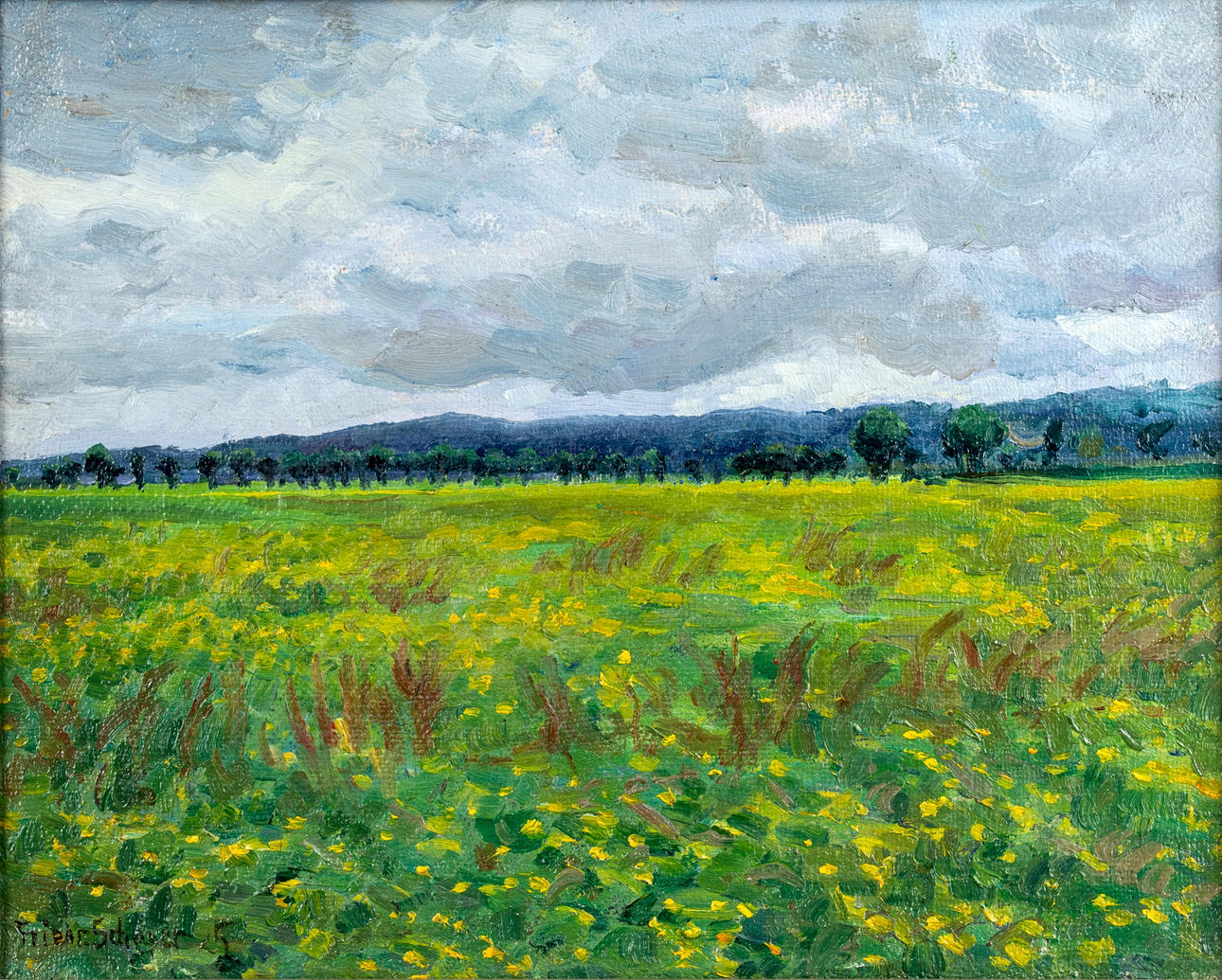 FRIEDRICH SCHAPER (1869-1956). Blooming meadows.