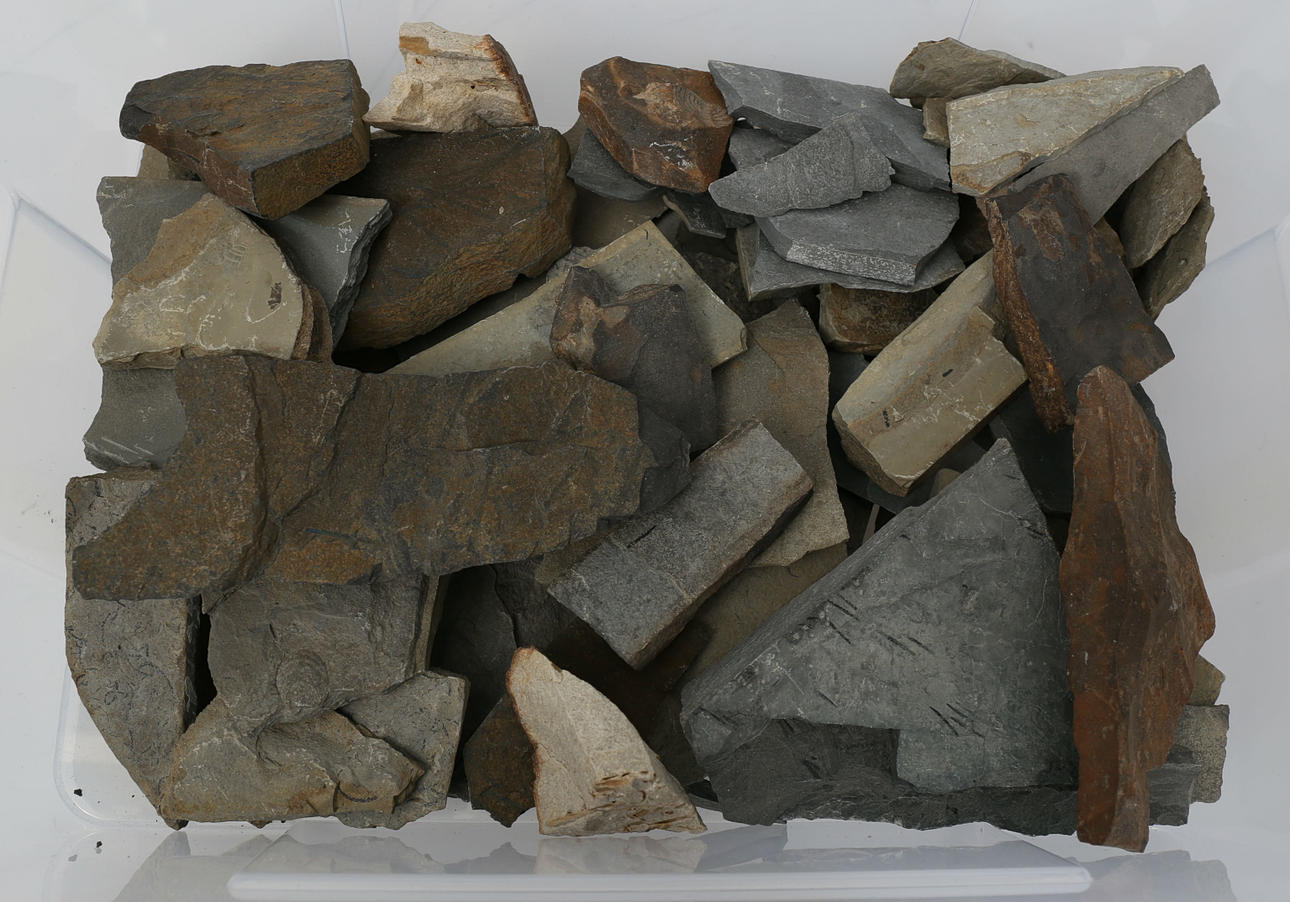 SLATE, various types, colors and sizes, Skåne. Miscellaneous ...