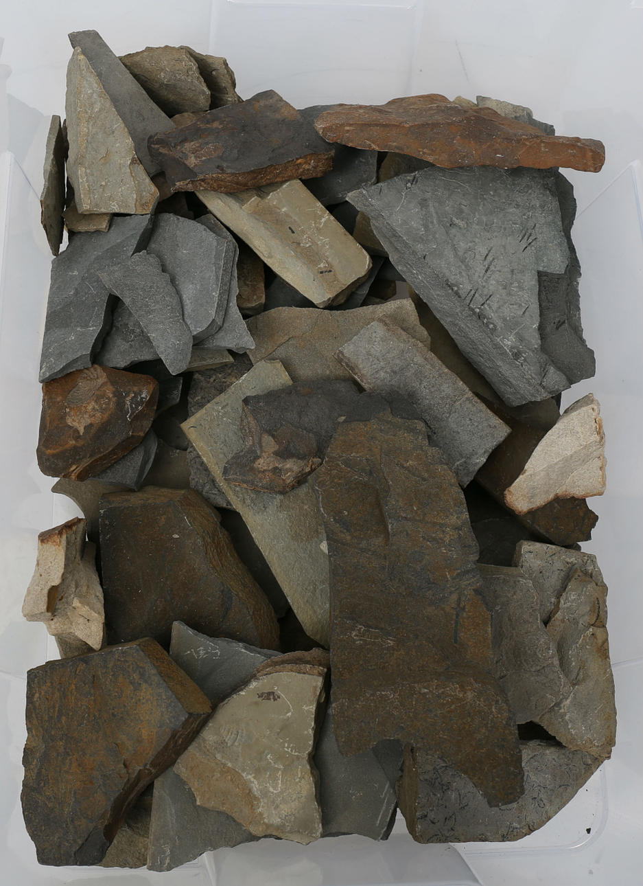 SLATE, various types, colors and sizes, Skåne. Miscellaneous ...