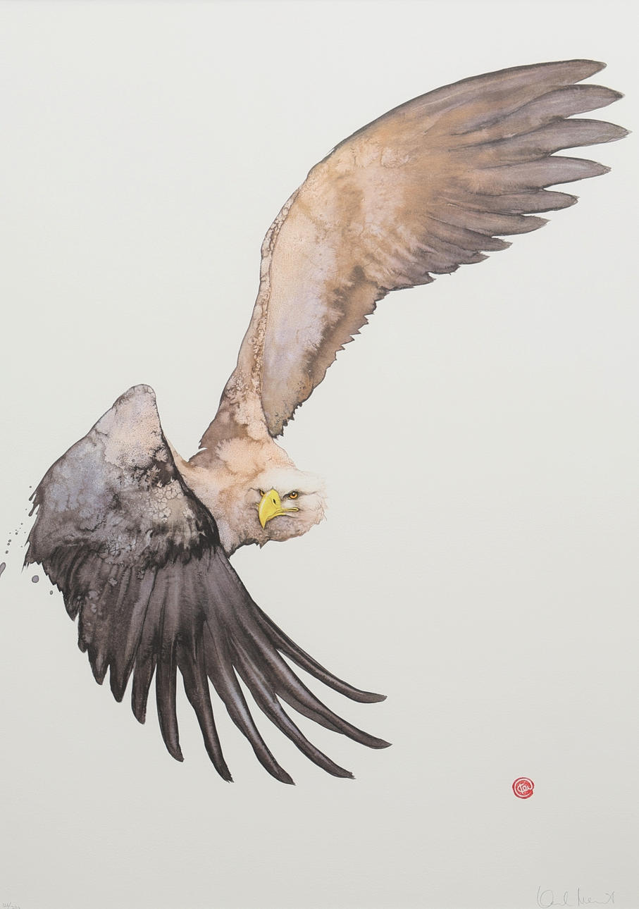 KARL MÅRTENS. Lithograph, sea eagle, signed, numbered 126/220.