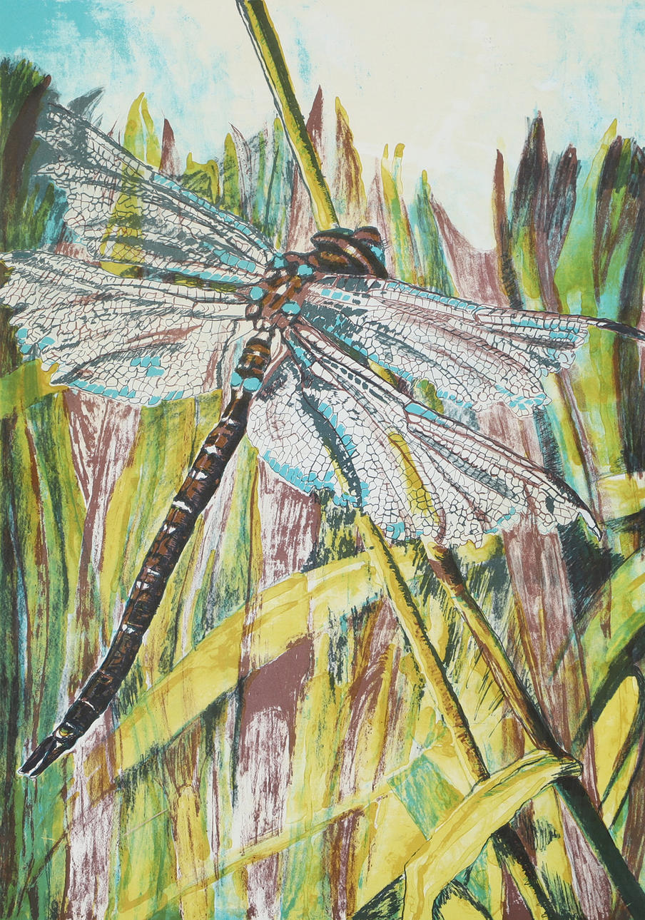 OIDENTIFIERAD KONSTNÄR. “Dragonfly”, lithograph in colours, signed Susi -87.