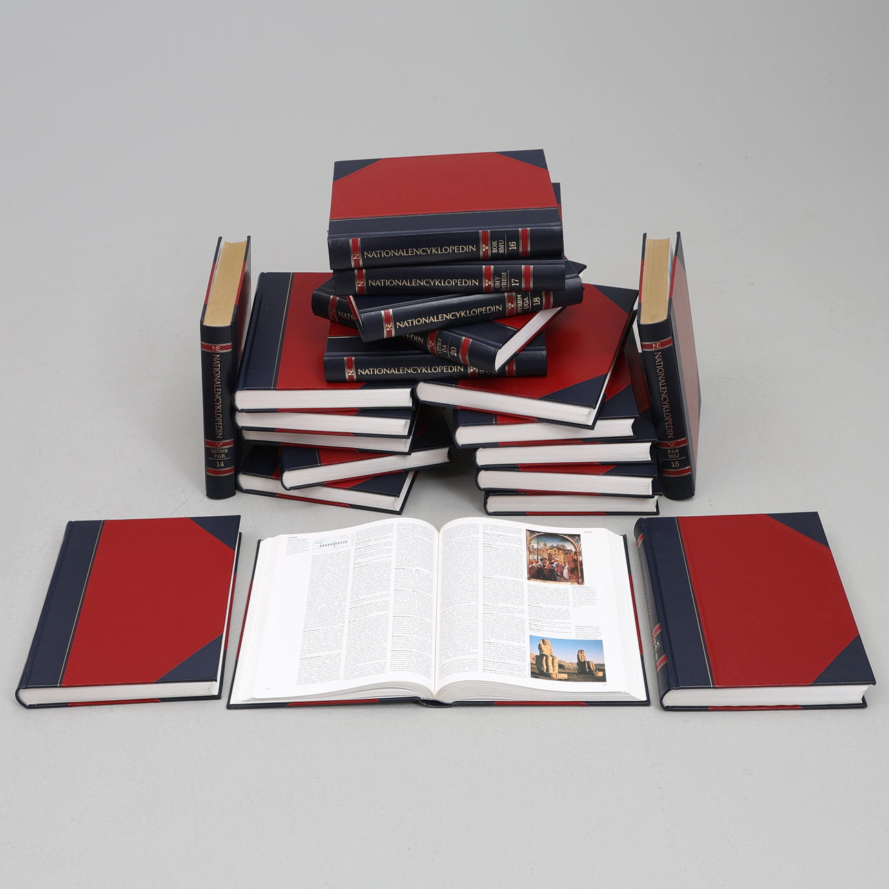 NATIONALENCYKLOPEDIN. 20 band.