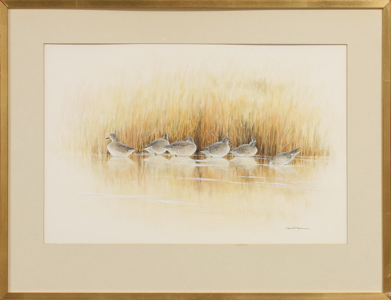 GUNNAR PETTERSSON. Änder i vass, akvarell, signerad.