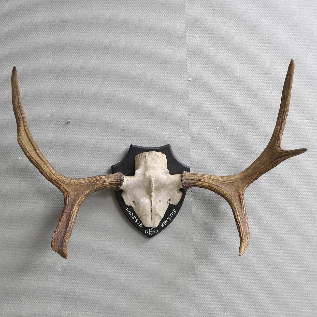 JAKTTROFFÉ, älg, Landsjö, Kimstad 1940.