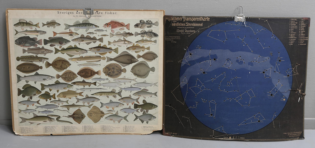 SKOLPLANSCHER, 2 st, Tyskland och Sverige, 1900-talets första hälft.