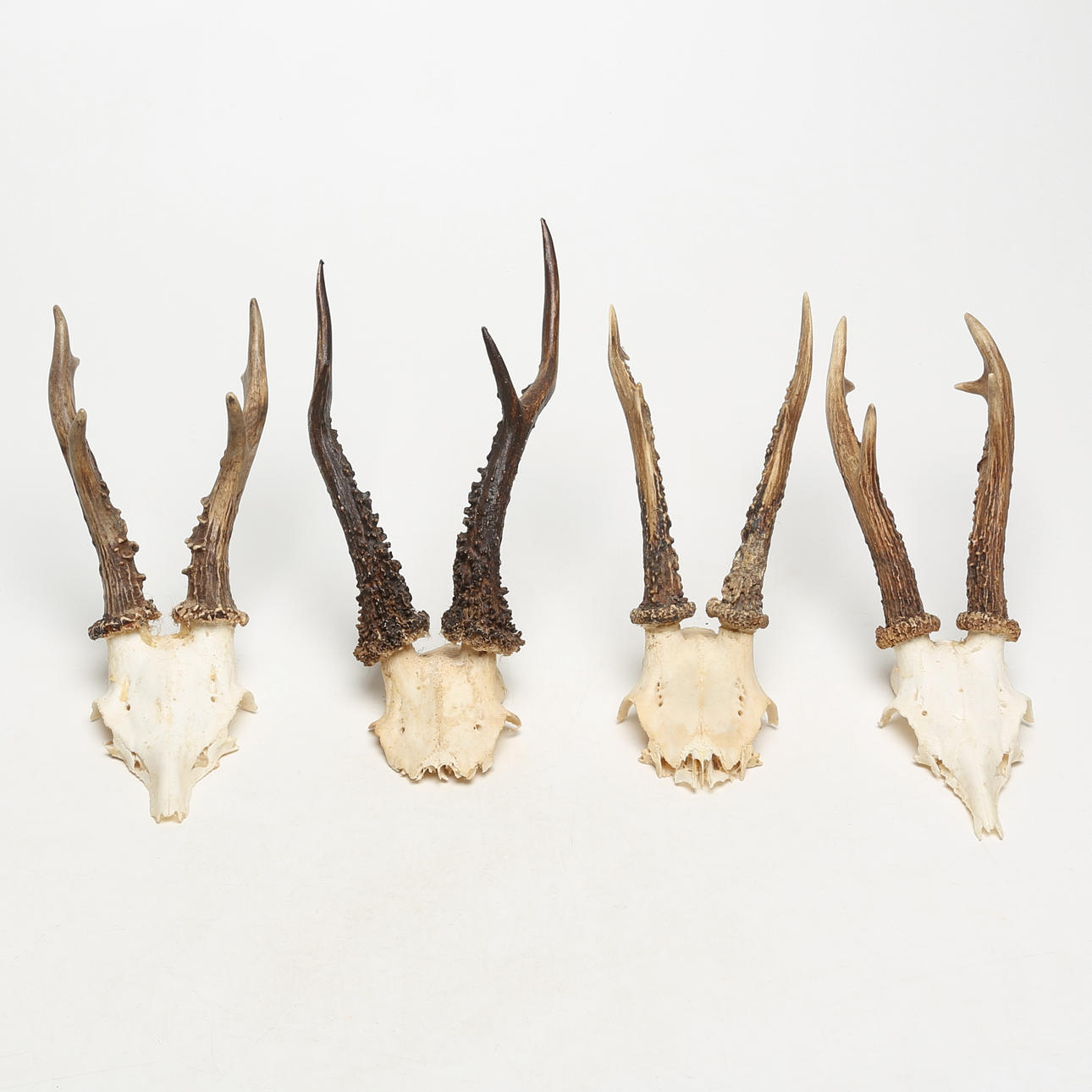 HUNTING TROPHIES, 4 pcs.
