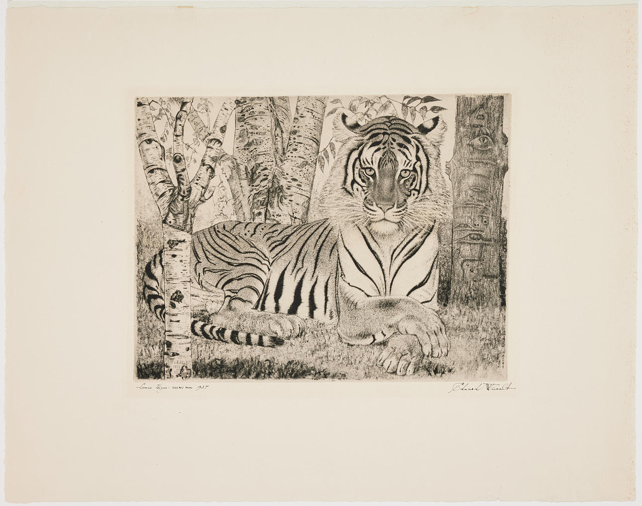 EDUARD WIIRALT. “Lamav tigerfish (Reclining tiger)”.