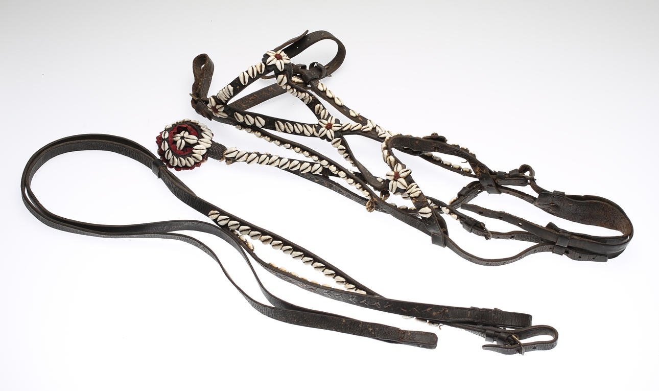 REMTYG, huvudlag med kauri snäckor, 1800-tal.