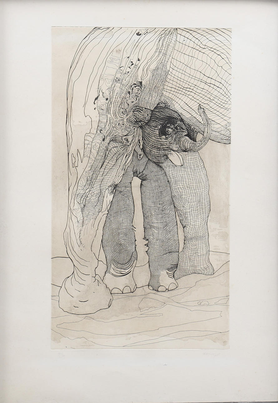 JORGE CASTILLO. Elephant.