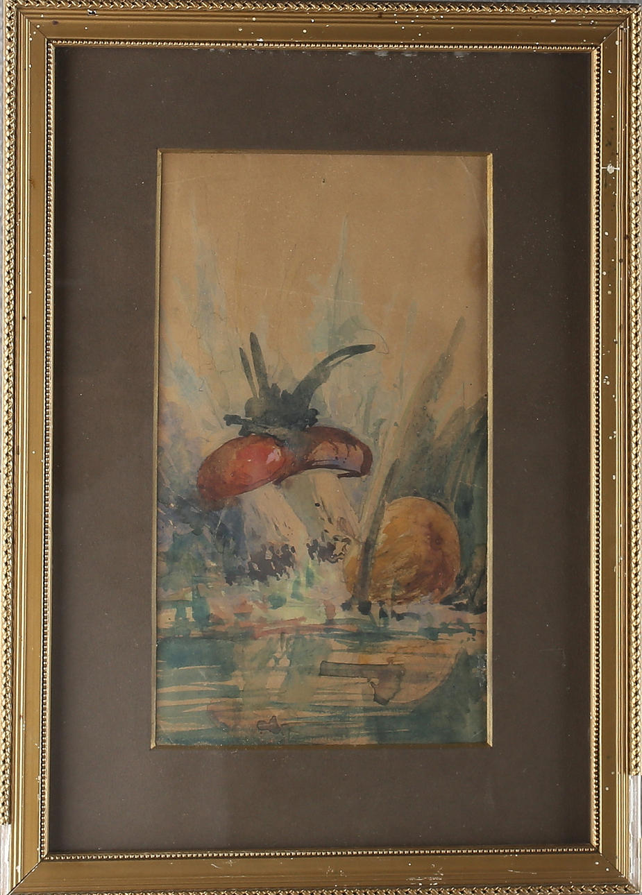 JOHN BAUER. TILLSKRIVEN. Svampar, skiss, akvarell, osignerad.