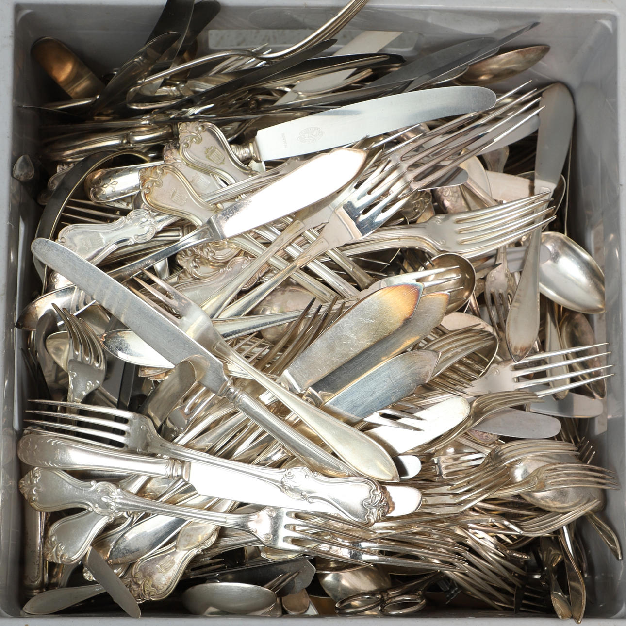 NYSILVERBESTICK, parti, ca 26 kg.