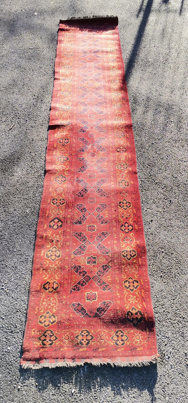 Langer roter Wollläufer.