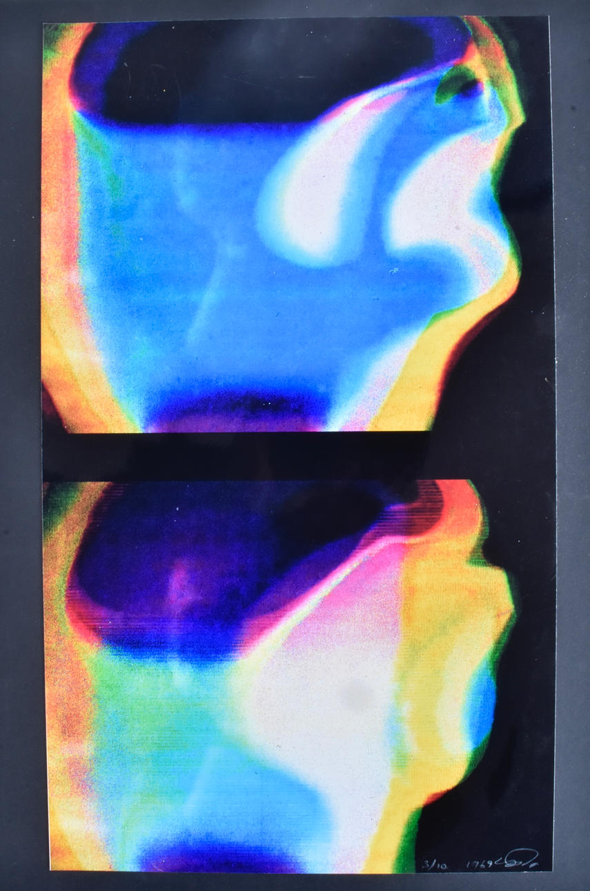 SVEN INGE DEMONÉR. Videoarte en color.