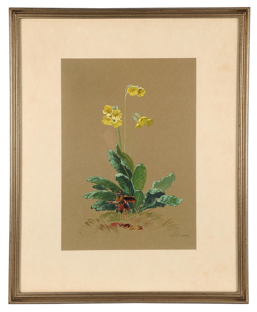 ROBERT KÄMMERER. Insekt under smörblomma. Gouache på papper. Signerad. Utfört omkring 1940.