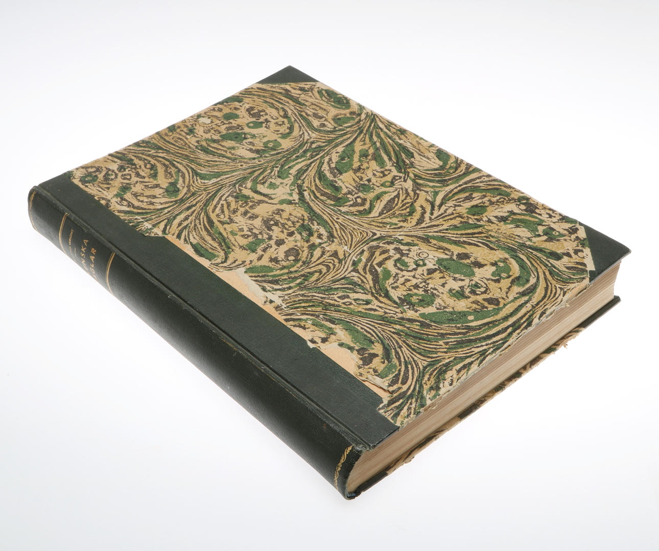 BOK, "Svenska fåglar", M.W. & F. v Wright. Första delen. 1924.