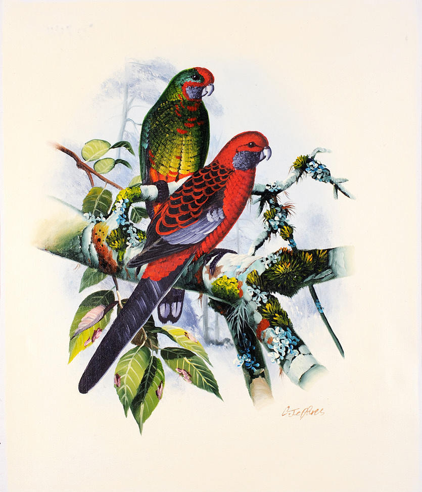 OIDENTIFIERAD KONSTNÄR. Papegojor, hookbills, lovebirds i tropiska grenar., Olja på duk.