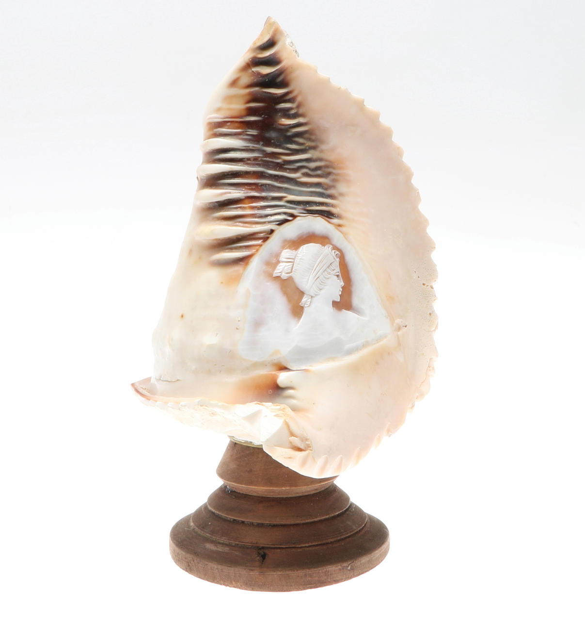 SNÄCKA, med Camé, monterad på träställning.