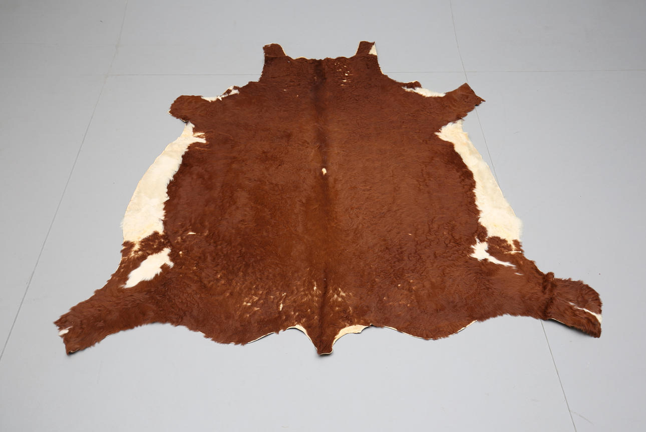 KOSKINN, 225 x 215 cm.