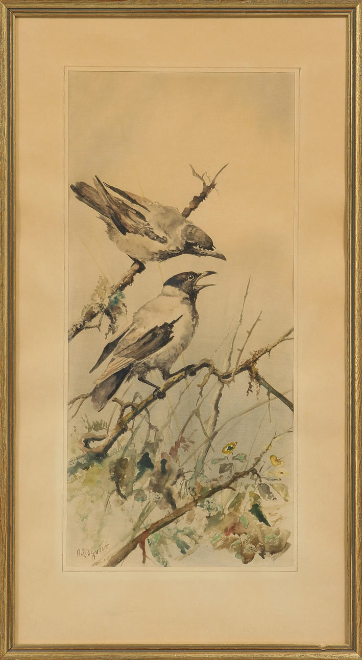 ARNE LIDQVIST. Fåglar, akvarell, signerad.