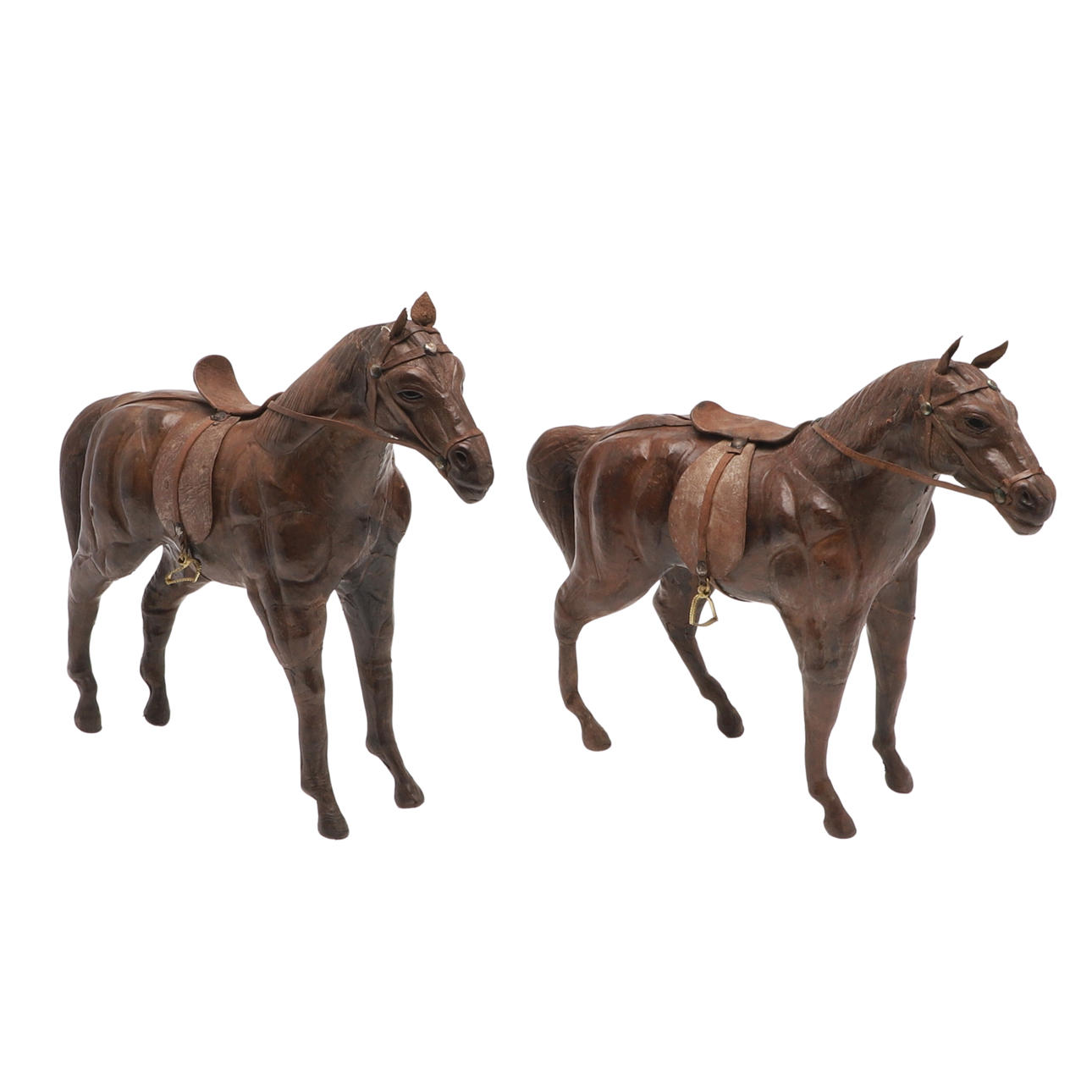 KAKSI NAHKAMALLIA HEVOSISTA.