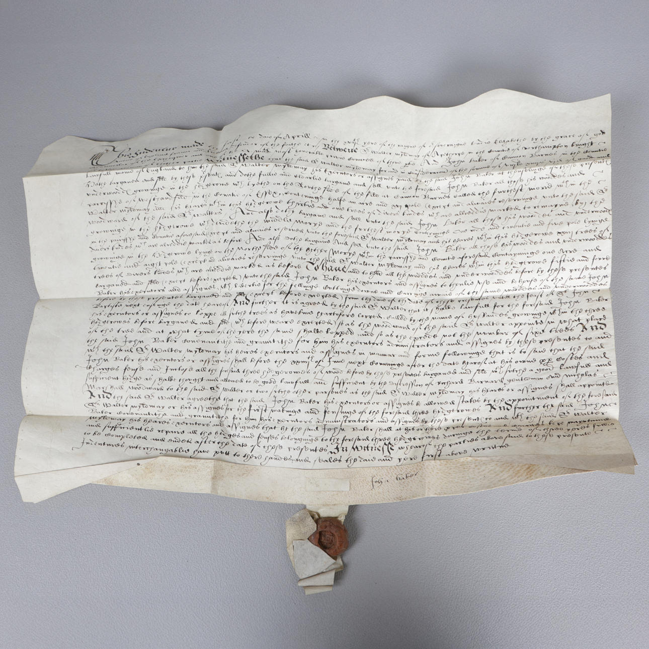 NORTHAMPTON, MANUSCRIPT INDENTURRE, ELIZABETH I.