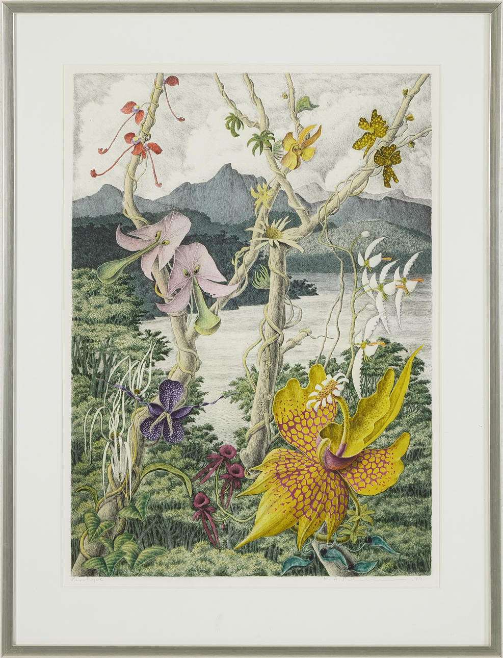 KARL AXEL PEHRSON. Exotic plants, specimen print, signed, dated -79.