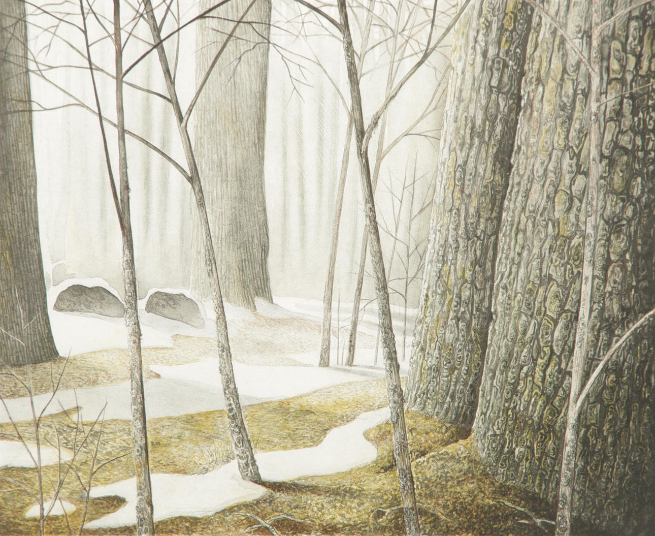 MIKAEL KIHLMAN. Forest landscape, color lithograph.