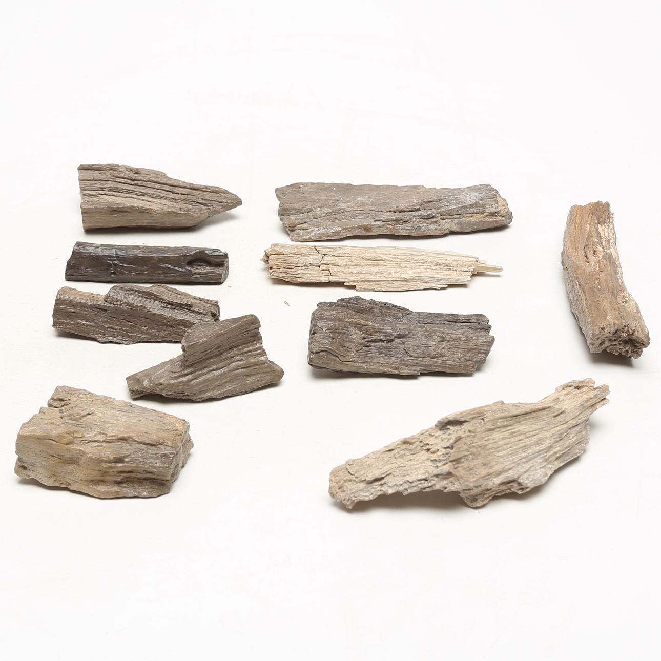FOSSILIEN, Holzteile, 10 Stück.