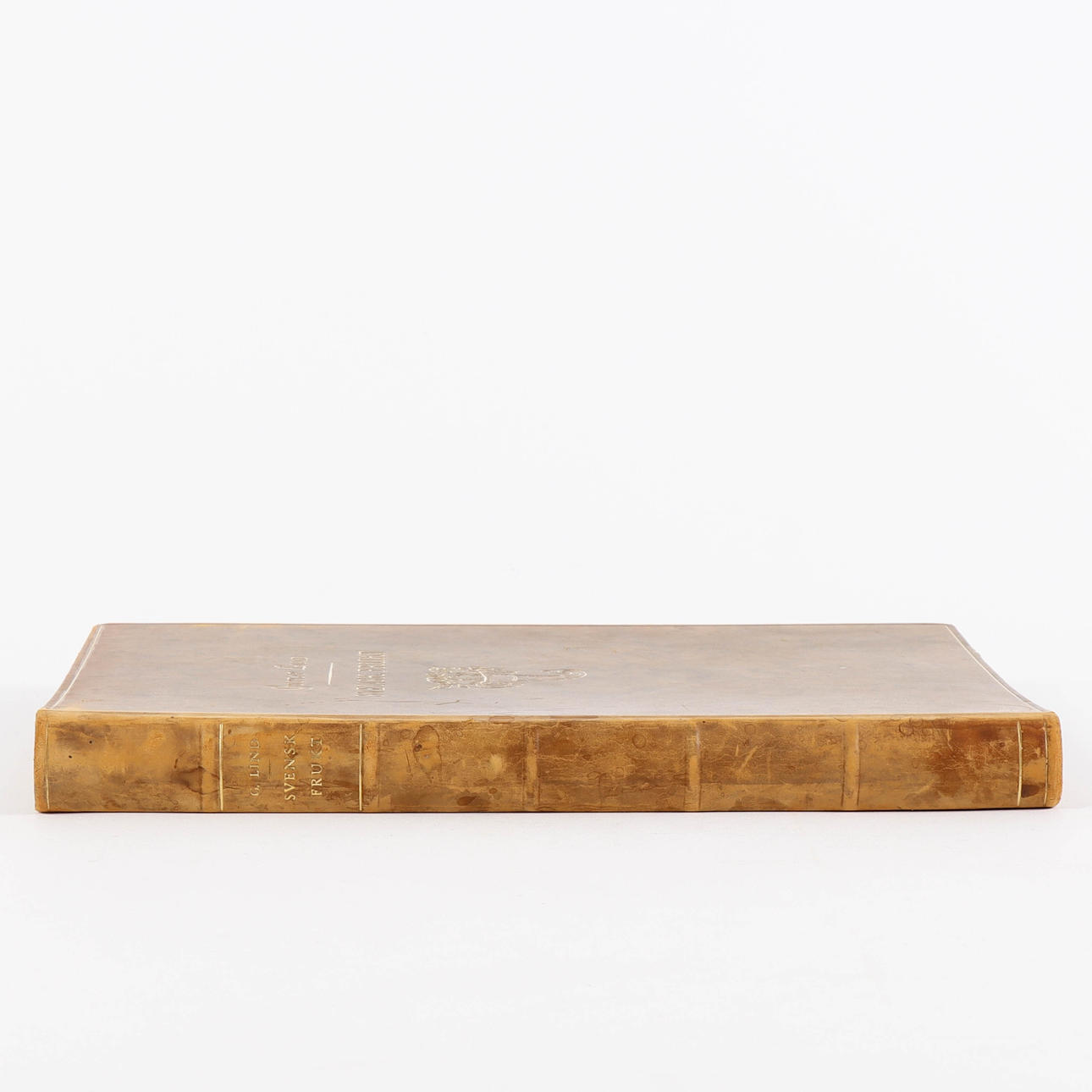 GUSTAF LIND. ”RUOTSALAINEN HEDELMÄ”, 1920.