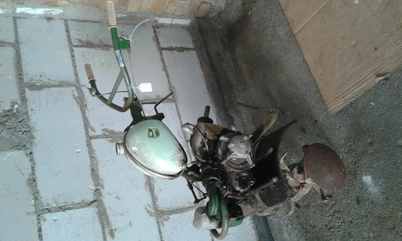 JORDFRÄS, Agria, 1950/60-tal.