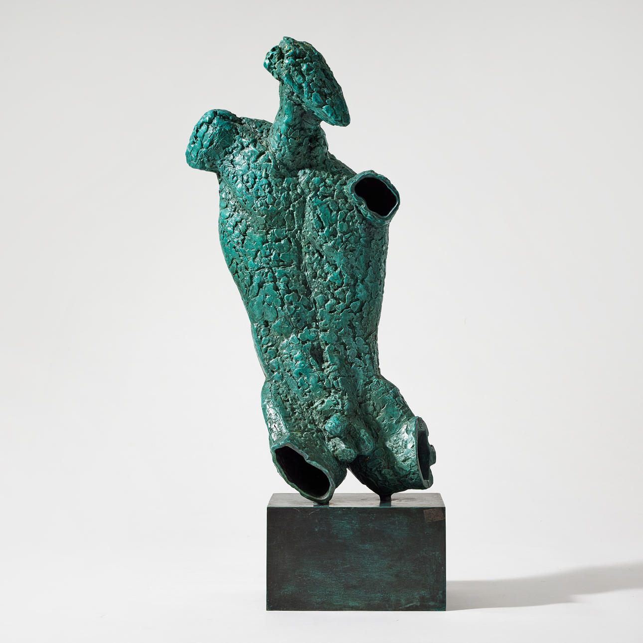 LISS ERIKSSON. „Birdmans Torso“.