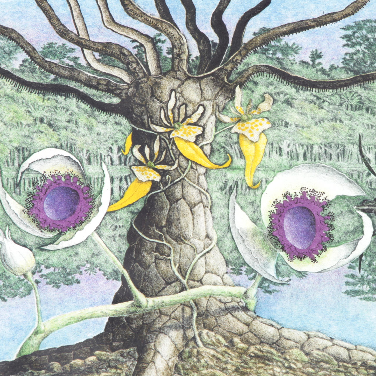 KARL AXEL PEHRSON. Färglitografi, signerad samt numrerad 9/140.