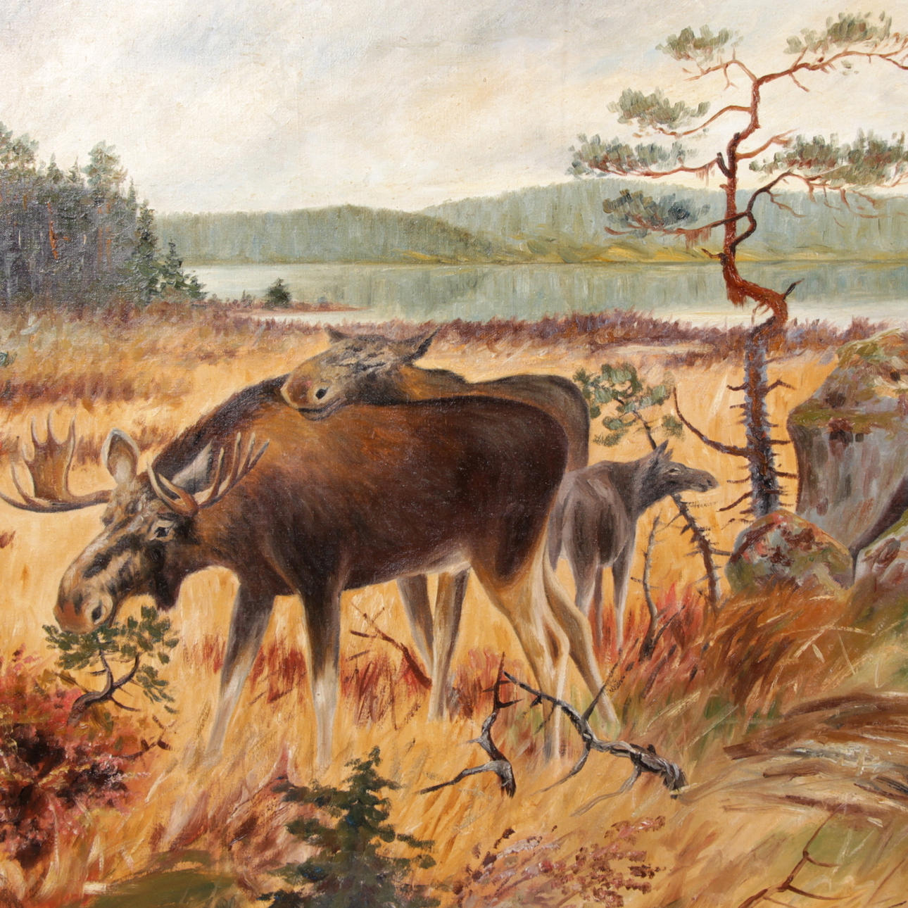 AXEL BORG. Kopia efter, älgar, signerad O Zander.