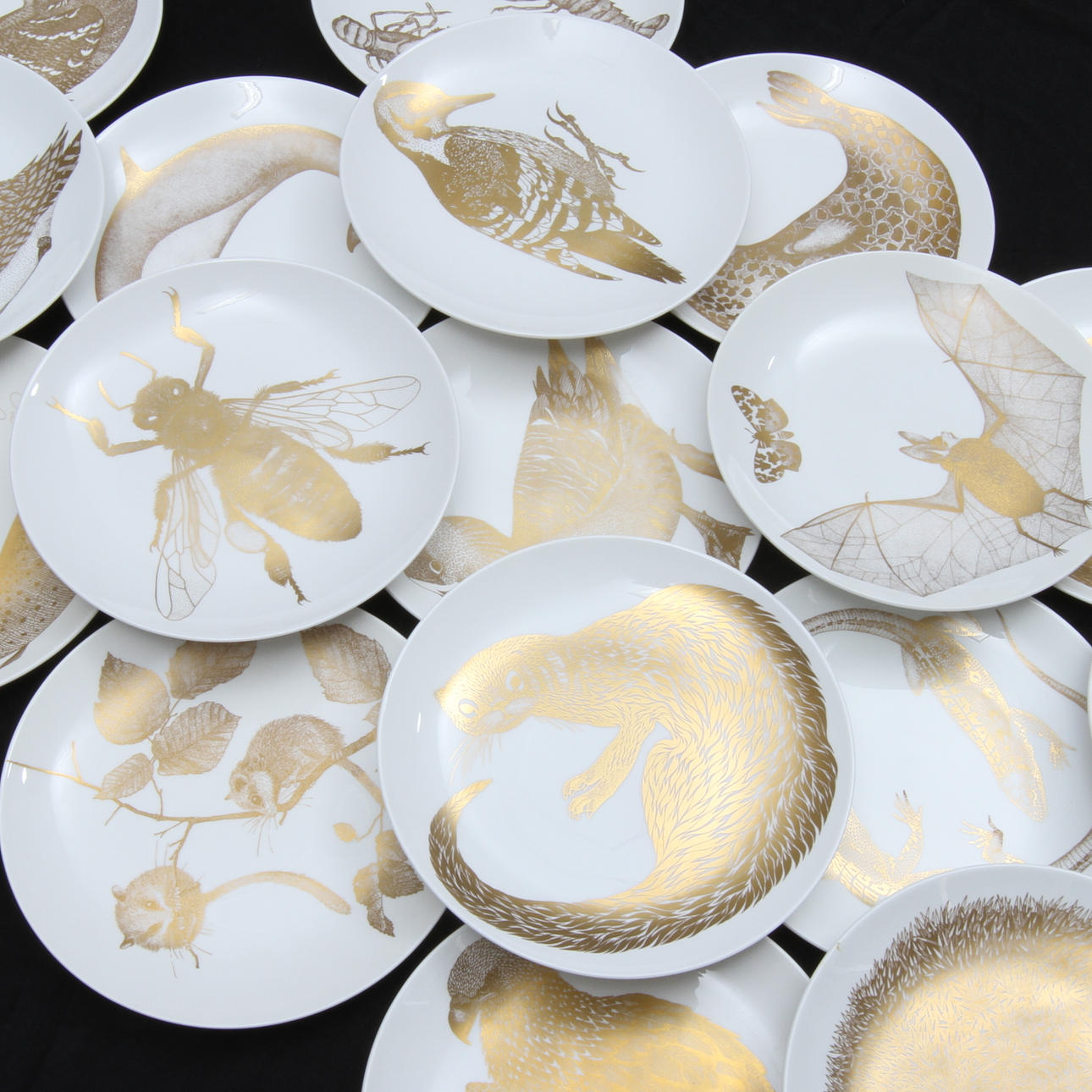 SAMLARTALLRIKAR, 22 st, "Arter i fara", Paul Hoff, Gustavsberg.