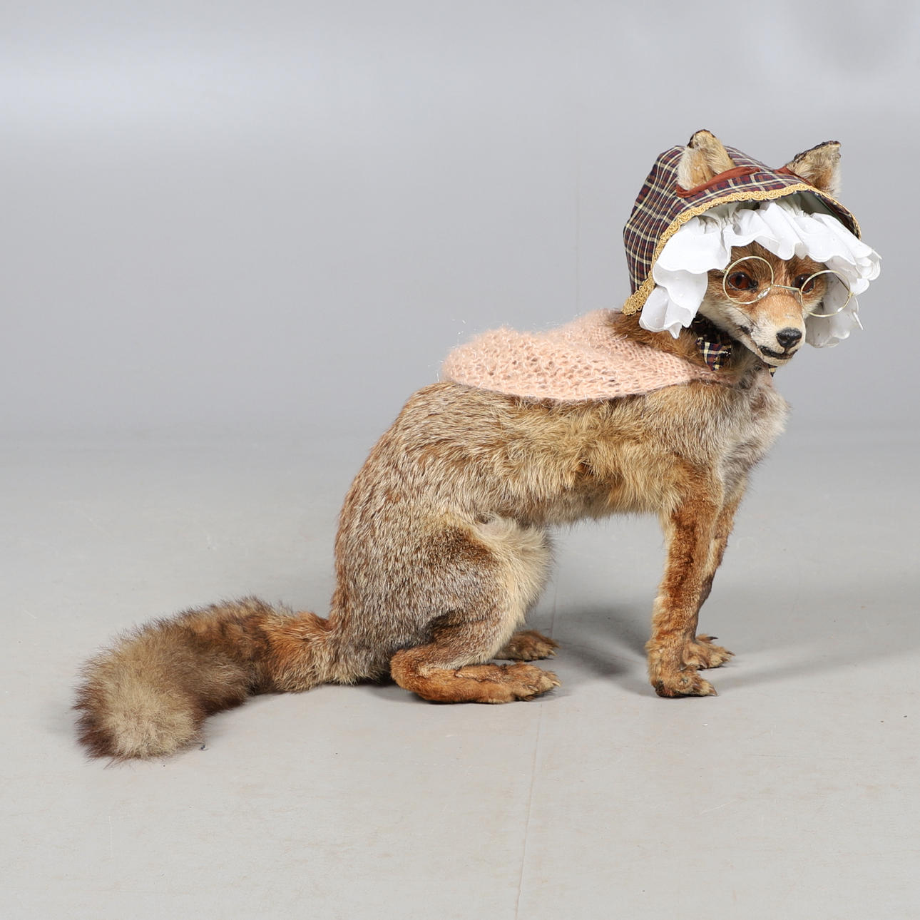 TAXIDERMY FOX & CLOTHING.
