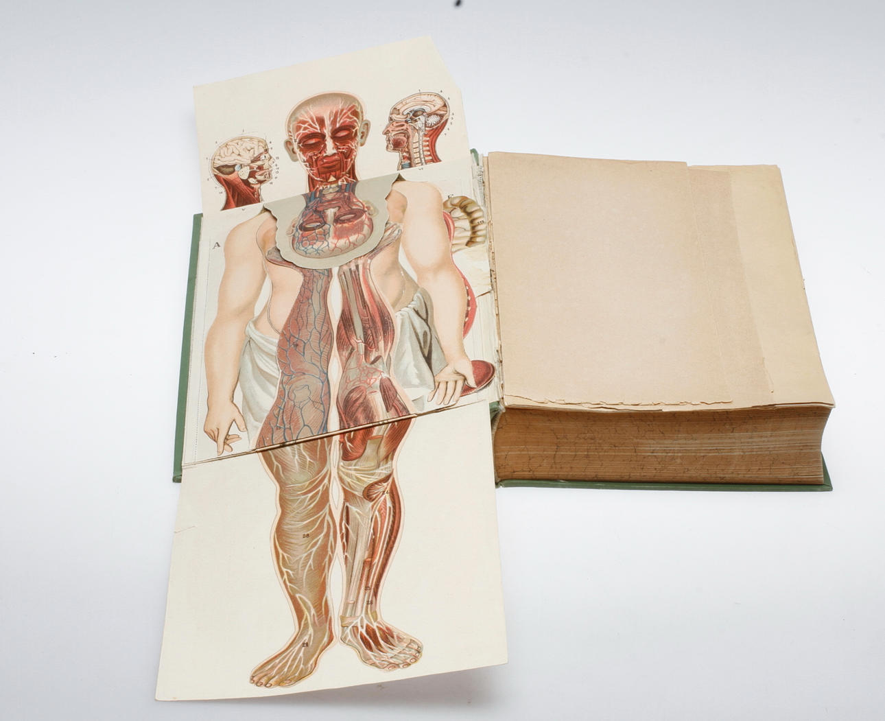 BÖCKER, 2 band, "Bilz - Den nya naturläkemetoden", 1905.