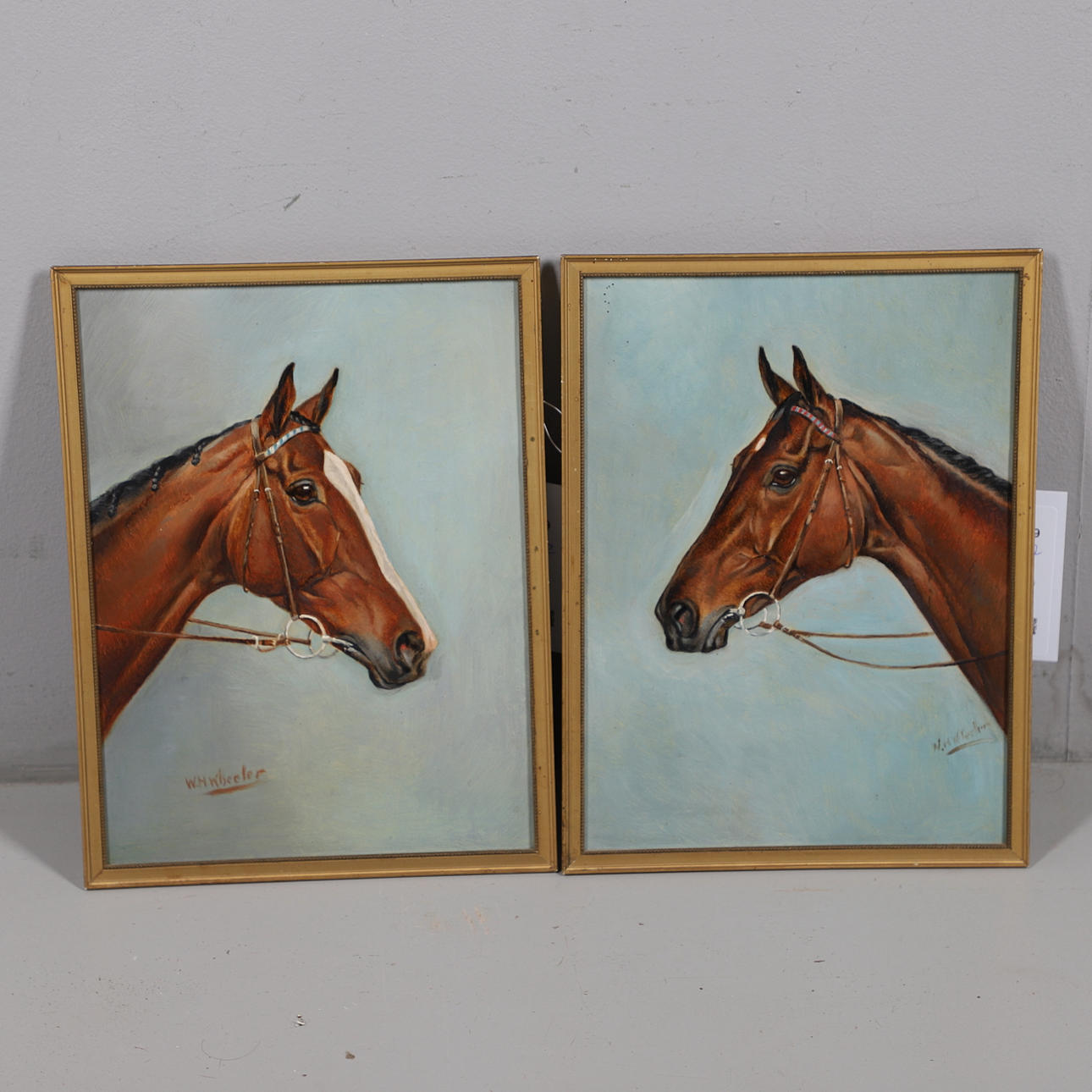 WALTER HERBERT WHEELER (1878-1960). HESTEHOVEDSTUDIER.