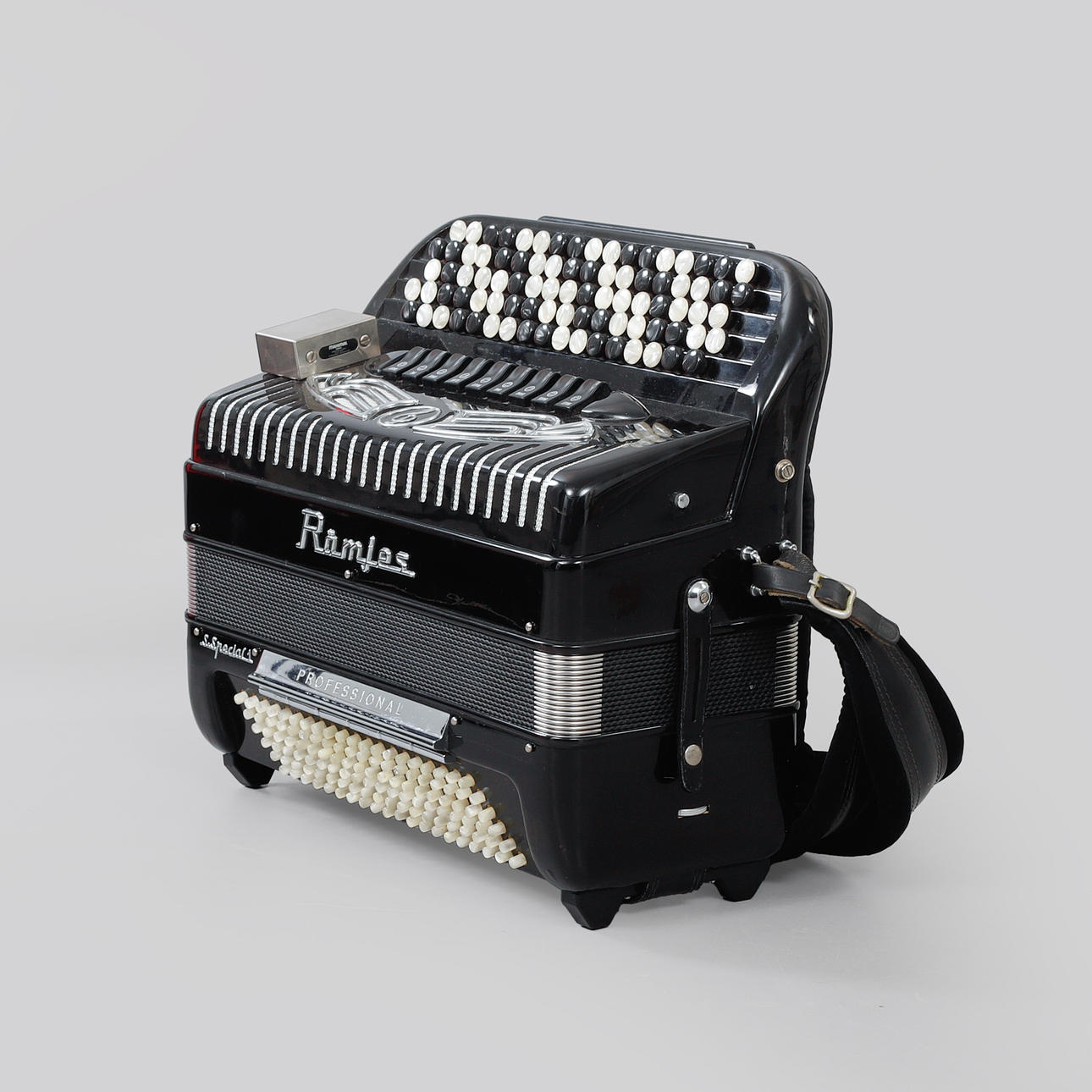 ACCORDEON, Rämjes, S Special 1 Professional.