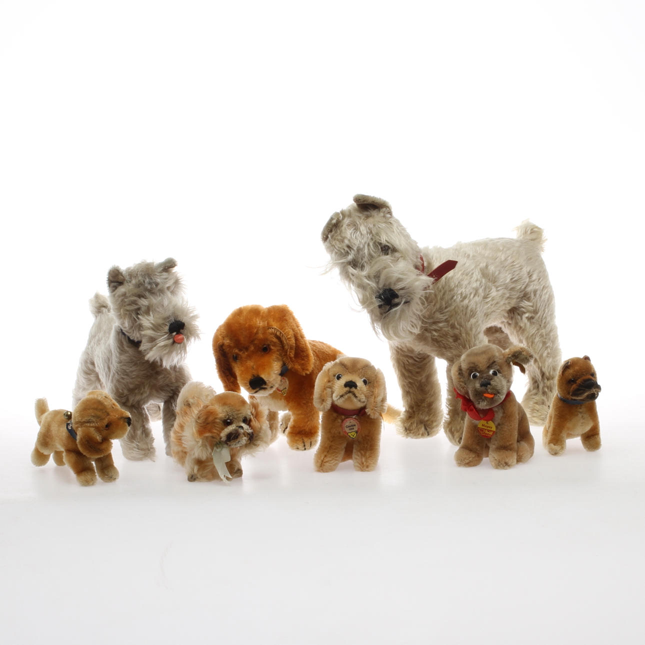 STEIFF, Hundar, 8 st varav 5 med knapp i örat, 1950-1970-tal.
