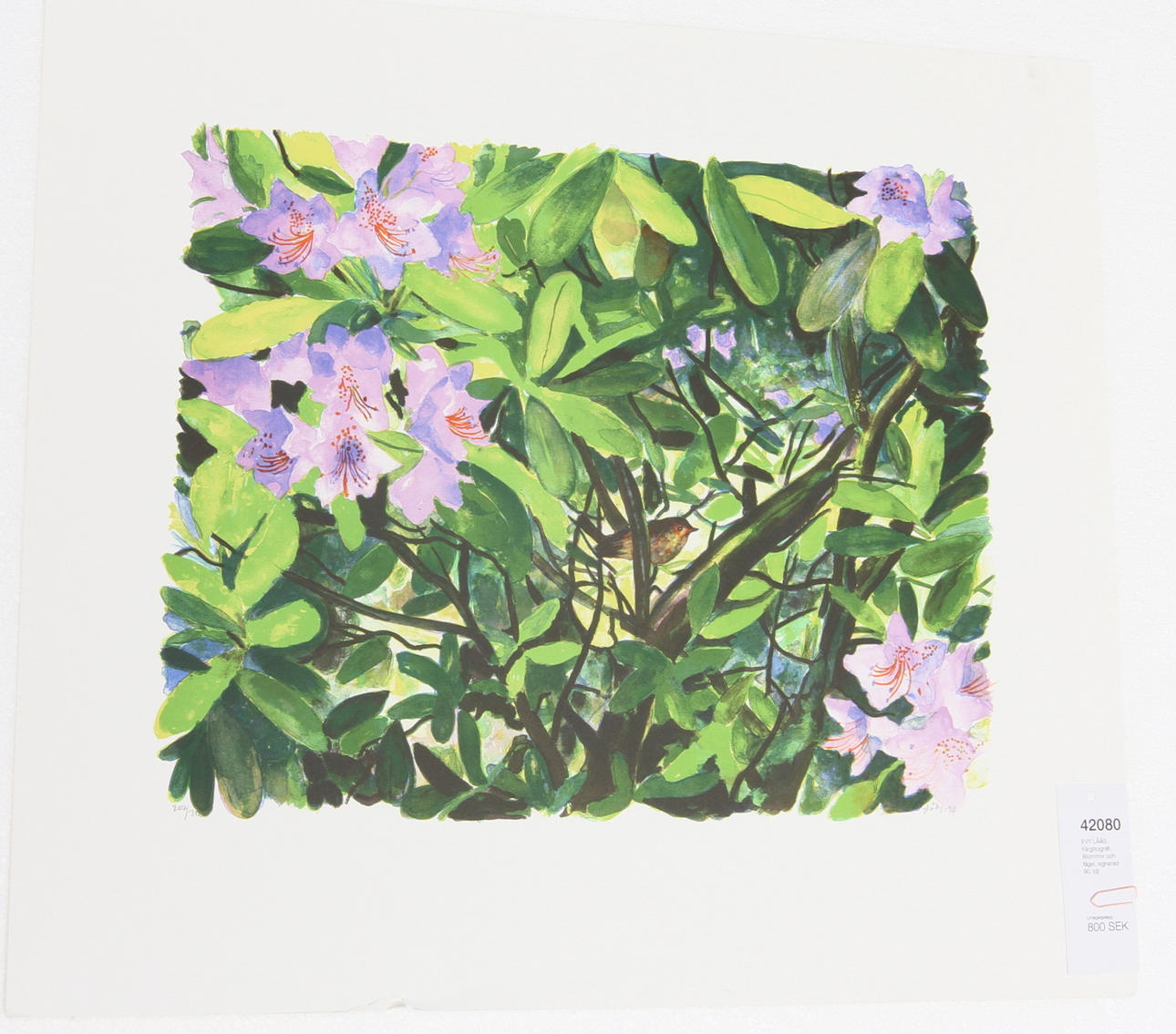 EVY LÅÅS. Färglitografi. Blommor och fågel, signerad-90.